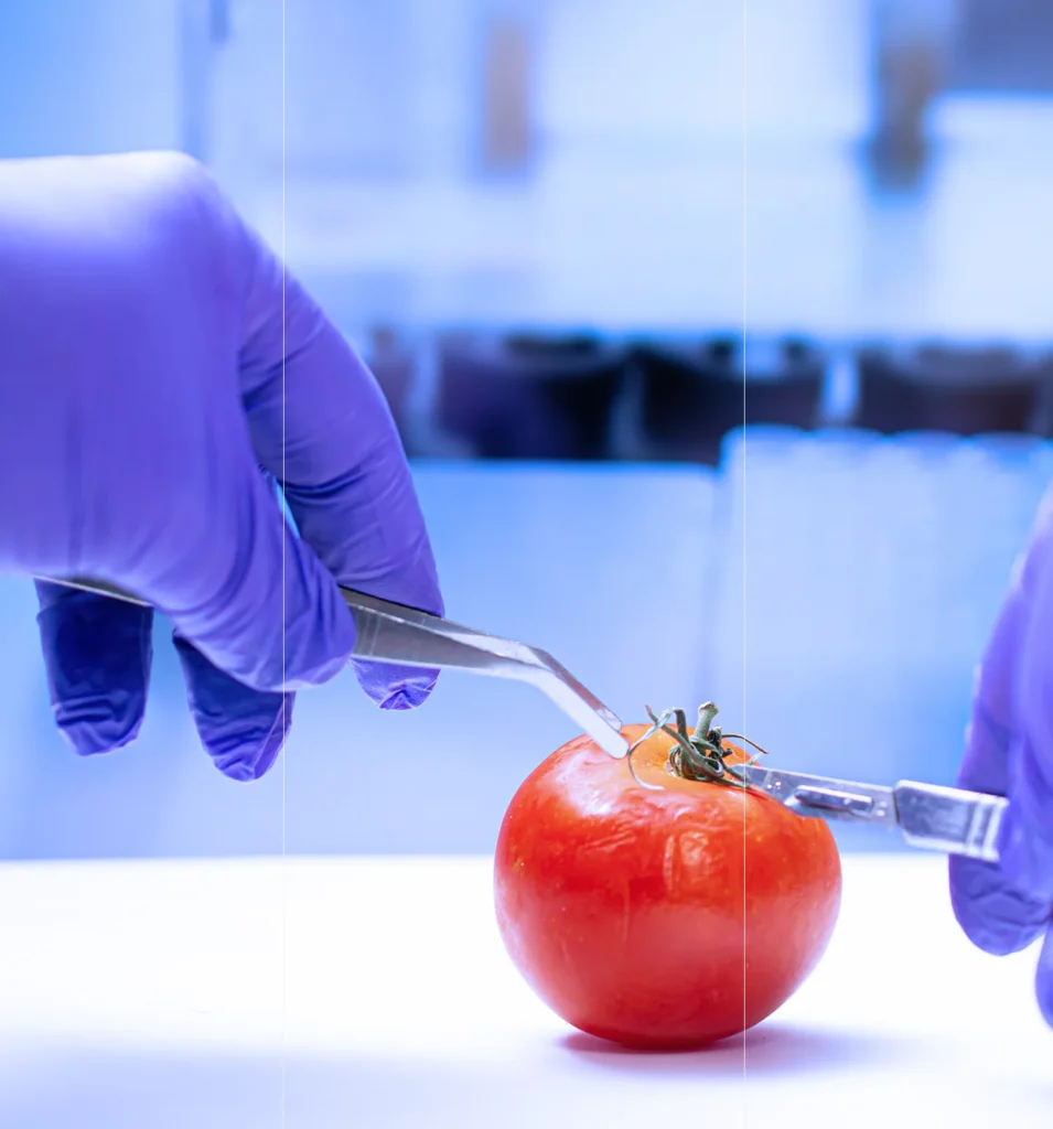 Food Safety Training
